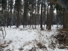 20121209_084045