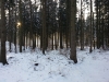 20121209_091749