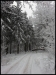 20130120_103325